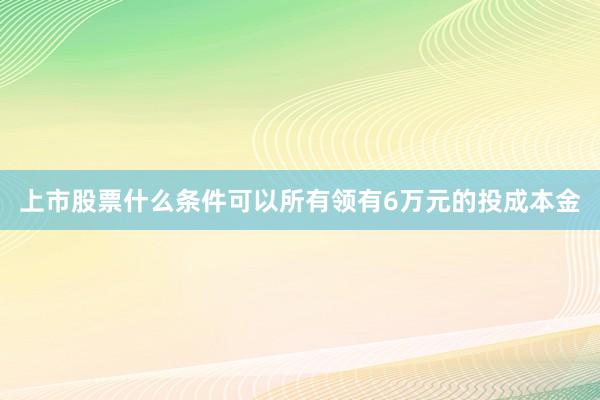上市股票什么条件可以所有领有6万元的投成本金