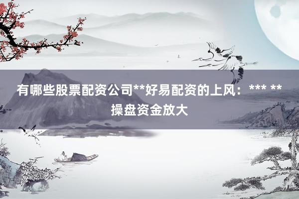 有哪些股票配资公司**好易配资的上风：*** **操盘资金放大