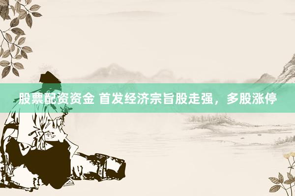 股票配资资金 首发经济宗旨股走强，多股涨停