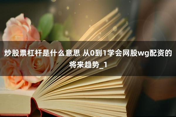 炒股票杠杆是什么意思 从0到1学会网股wg配资的将来趋势_1
