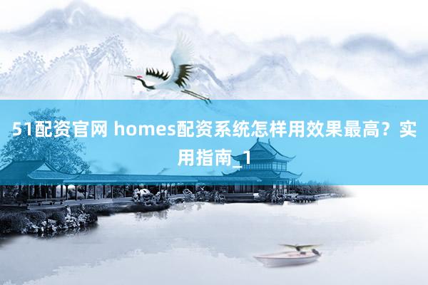 51配资官网 homes配资系统怎样用效果最高？实用指南_1